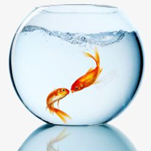 Popularización de la ciencia