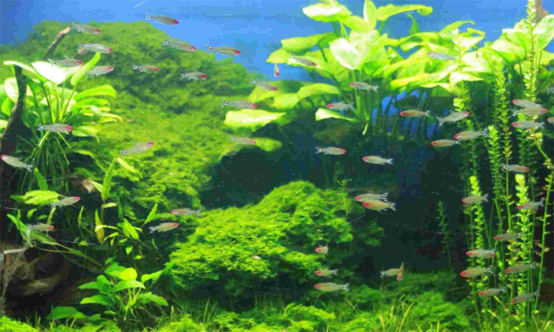 Popularización de la ciencia2