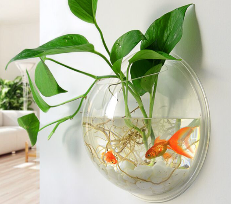 Popularización de la ciencia3