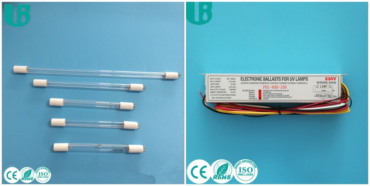 Certificación CE de la Unión Europea2