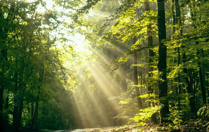 ¿Qué es la fotocatálisis ULTRAVIOLETA?