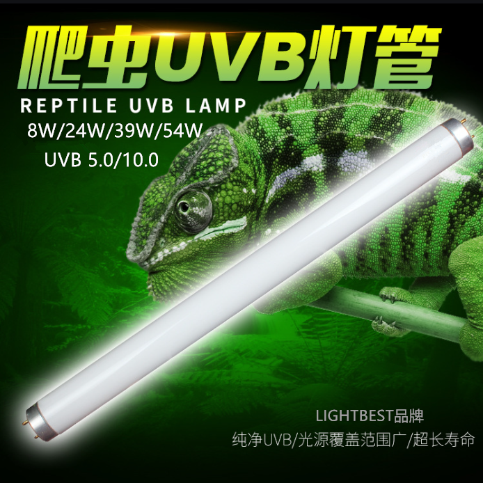 ¿Qué es la luz ultravioleta para reptiles UVB?