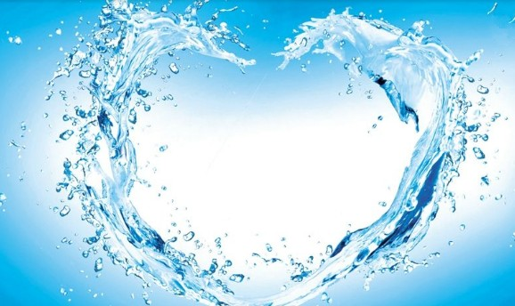 Entra en el esterilizador UV